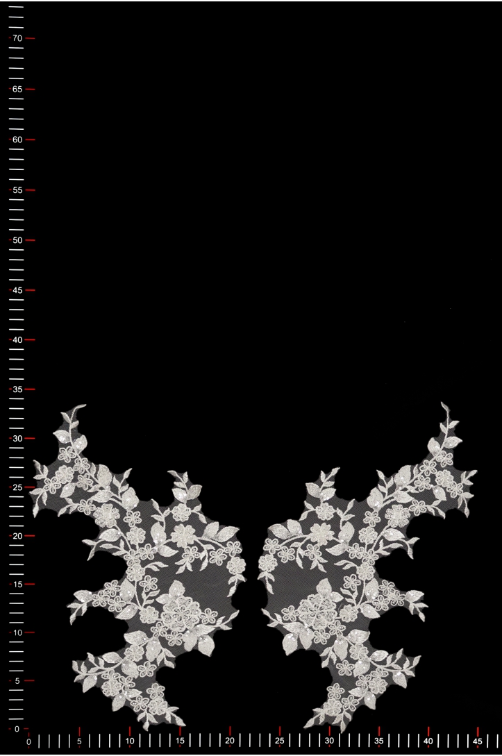 MOTIF 40673 PAIR