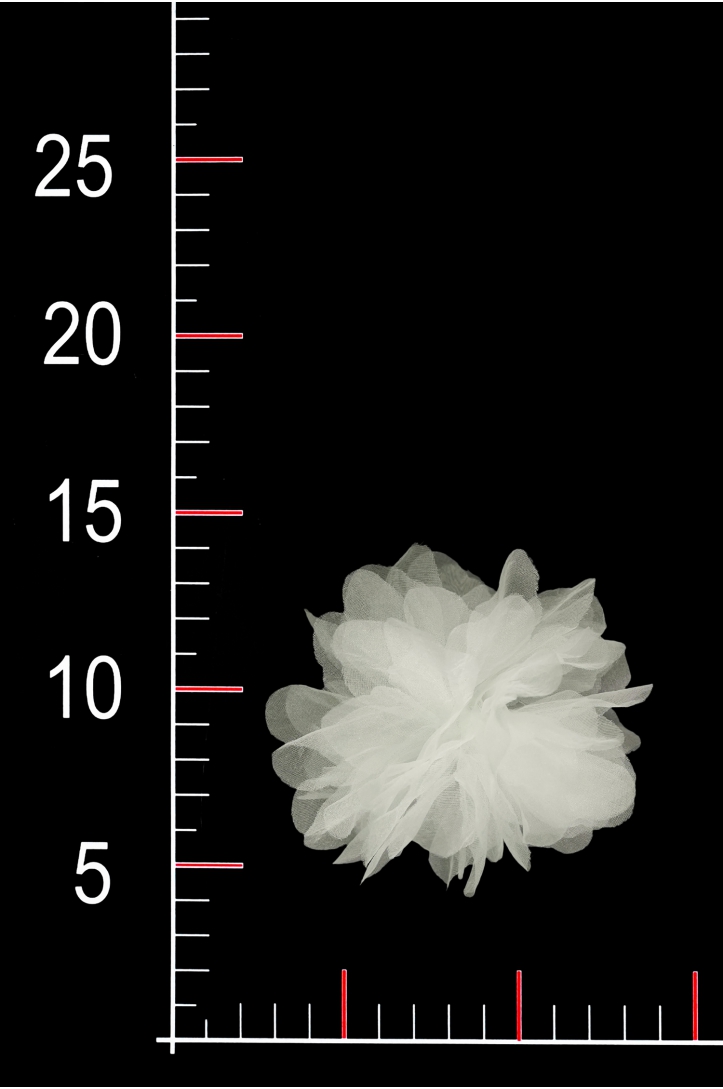 BLUME 0223