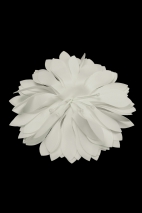 BLUME 0286