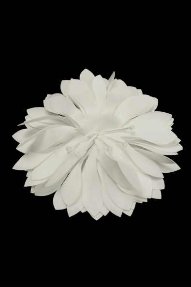  BLUME 0286