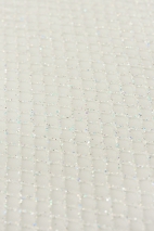 ELASTISCHER GLITTER-TÜL T2836