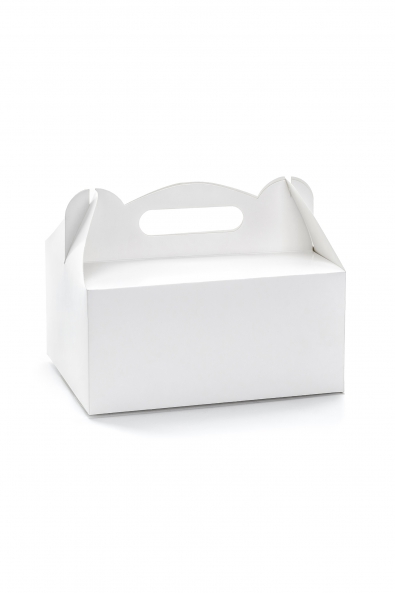 WHITE CAKE BOXES SET OF 10 PIECES